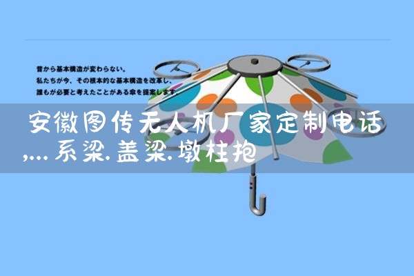 ͼ˻ҶƵ绰|˻UAV