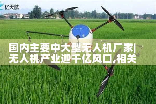 Ҫд˻|˻UAV