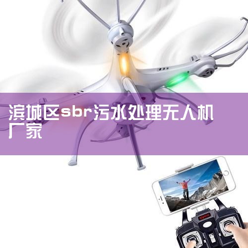 һ廯SBRˮϵͳһһ廯SBRˮϵͳ---Ӧ÷Χ ˮɽˮˮѧУʳˮεˮ...|˻UAV