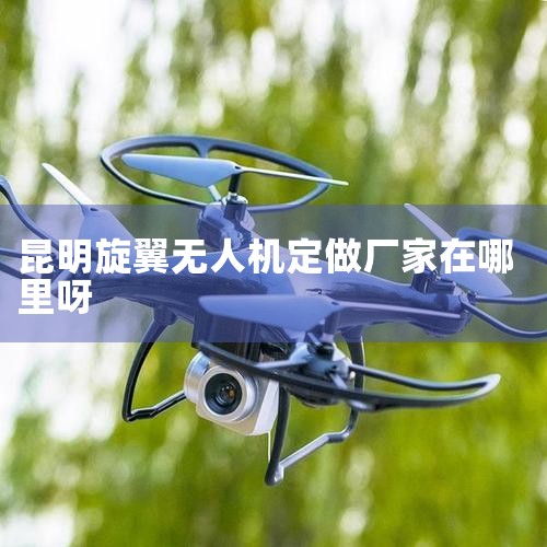 DJI(Ȩ)绰,ַ,ϹΪеƼ޹˾,˻ѵ -ֱǷ˻ѵ!,720VRȫӰ,VR,˻UAV