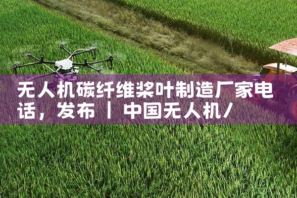 ˻̼άҶ쳧ҵ绰|˻UAV