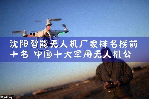 ˻ǰʮ|˻UAV